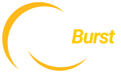 TECH BURST CONSULTANCY PRIVATE LIMITED